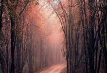 丹麦盼晋级欧洲杯，挑战葡萄牙难度重重