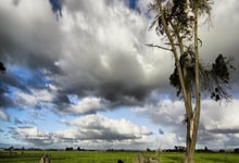 竞技水平高涨，尤文图斯胜利获得连胜