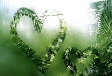 亚洲女足赛事：中国队夺得冠军